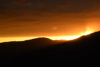 DSC_4549 (Large).JPG